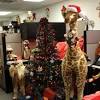 Work culture has advanced immensely from the days when corporate offices were a new phenomenon. Https Encrypted Tbn0 Gstatic Com Images Q Tbn And9gcq08av8kv5phjveeqlja7sscfkhxelylx Xyfyslufoyptd9h6i Usqp Cau