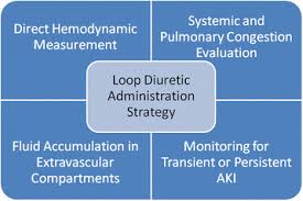 Image result for Loop Diuretic