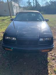 Image result for Medium Driftwood 1993 Chrysler