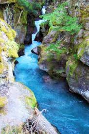 See full list on alltrails.com The Reward At The Bridge Picture Of Trail Of The Cedars Glacier National Park Tripadvisor