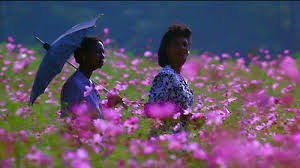 The Color Purple Blog The Film Experience The Color Purple Book Purple Color Purple Books