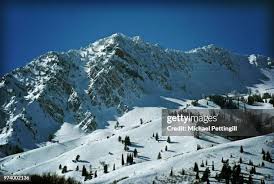 46 Pettingill Stock Photos, High-Res Pictures, and Images