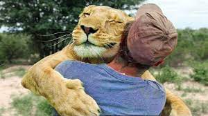 Animal Hugs Animals Hugging People Animals Hugging Humans Hugging Animal Hugs Cute Animals Animals Wild