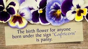 Flowers Associated With Your Zodiac Sign And Their Meanings Astrology Bay