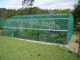 Shade fabric, shade structures, sun shade, shade sails, commercial shade structure. How To Make A Shade House For Your Vegetables Diy Step By Step Instructions The Micro Gardener Shade House Garden Design Shade Garden