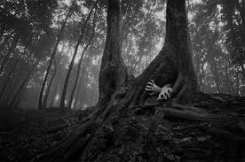 Take A Mile Walk Of Terror Through This Haunted Forest In Oklahoma Haunted Woods Haunted Forest Forest Photography