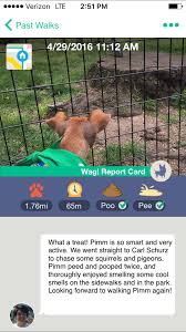 According to a new lawsuit. Dog Walking App Wag Review At Apps Api Ufc Com