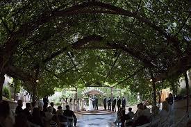 Albuquerque Botanical Gardens Wedding Photography Kevin S Botanical Gardens Wedding Garden Wedding Locations Garden Theme Wedding