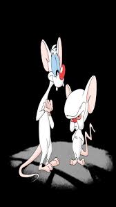 Stream cartoon pinky and the brain show series online with hq high quality. Pinky And The Brain Cartoons Pink And The Brain Hd Mobile Wallpaper Peakpx