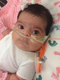 Dallas Contreras Obituary