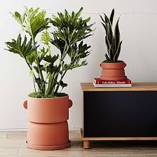 Start a fantastic planter shelf or brighten up your current planters with this cute metallic design. Commune Planters Planters Oversized Planters Stone Planters