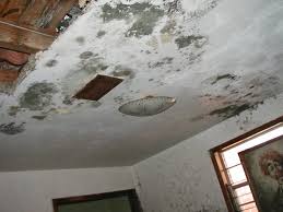 Inspect the stained area to see if any repairs are needed. How To Repair Popcorn Textured Ceiling After Water Damage Drywall Repairman Building Restoration Service