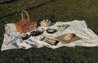 Resultado de imagen para origen desarrollo evolución picnics