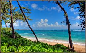 We did not find results for: Sandee The World S Best Beach Directory Kokololio Beach Laie Hawaii United States Choose Your Beach