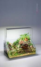 Beautiful Paludarium With Superb Pictures Quality Turtle Aquarium Nano Aquariu Aquariu Aquarium Beautiful N Terrarium Garden Terrarium Planted Aquarium