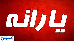 خبر فوری برای یارانه‌بگیران / این خانوارها دوباره یارانه معیشتی می‌گیرند