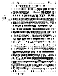 Eight Potassium Channel Families Revealed By The C Elegans Genome Project Sciencedirect