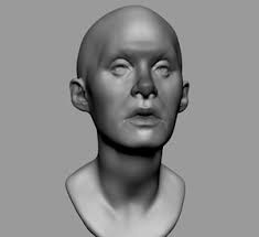We did not find results for: Free 3d Head Models Turbosquid