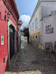 Image result for Faroa duvigneaud