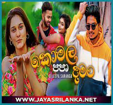 We did not find results for: Ez8qwqfort9b1m