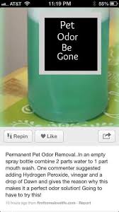 Smoke smell eliminator (pack of 6). Pin By Christina Nielsen On Dog Heaven Diy Dog Stuff Cleaning Hacks Pet Odors