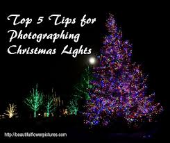 Top 5 Tips For Photographing Christmas Lights Christmas Light Photography Christmas Pictures With Lights Christmas Light Installation