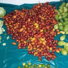 We would like to show you a description here but the site won't allow us. Timika Cuki Cukitimika Twitter