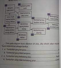 Jawaban ayo kita berlatih 7 2 bab 7 halaman 129 kelas 7 jawaban ayo kita berlatih 3 4 buku paket kelas vii brainly. Data Pada Diagram Kunci Dikotom Di Atas Jika Ditulis Akan Menjadi Kunci Determinasi Sebagai Brainly Co Id