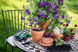 Gewöhnliche sonnenblumen sind klassische pflanzen für bauerngärten und dürfen auch im ländlichen garten nicht fehlen. Mit Dauerbluhern Von Fruhling Bis Herbst Farbige Akzente Im Garten