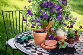 Garten im frühling ideen und design. Mit Dauerbluhern Von Fruhling Bis Herbst Farbige Akzente Im Garten