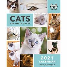Cats On Instagram Easel Calendar 2021 At Calendar Club When you are searching for an (annual) calendar including 2021, 2022 and 2023 this is the place to be.