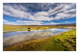 El paisaje no es solo lo que vemos, es lo que sentimos al verlo.
