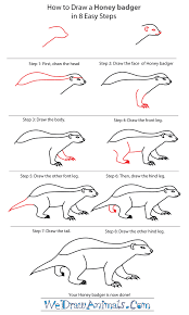 How To Draw A Honey Badger Step By Step Tutorial Honey Badger Honey Badger Tattoo Badger Illustration
