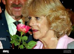 Parker rose garden hi-res stock photography and images