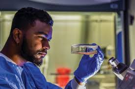 Twelve Howard University Students Awarded James Patterson Writer Education  Scholarship