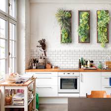 Question il vaut mieux coller des plaques de placo plâtre contre ce mur où puis je le récupérer avec d'autres produit. Mur Et Cadre Vegetal Dans La Cuisine Je Decore