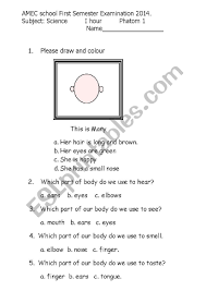 View our free printables online on the 1st grade science worksheets page. Science Exam For Grade 1 Esl Worksheet By Tayto