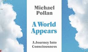 A World Appears: Grasping consciousness proves quite the head trip | The  Standard