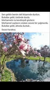 Poetry Siir Panosundaki Pin
