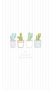 Cactus Flower Wallpaper Tumblr Wallpaper Cute Wallpaper For Phone