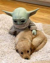 World Of Paws On Instagram May The Force Be With You Baby Yoda Pets Baby Retriever Cute Baby Animals Cute Little Animals Baby Animals Funny
