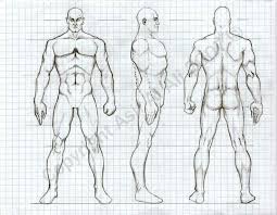 60063dfc13b1c7dd38cb9507de87ccf3 Jpg 736 570 Orthographic Drawing Drawings Character Design Male