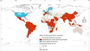 However, information on their occurrence in malaysia is still scanty. Global Risk Mapping For Major Diseases Transmitted By Aedes Aegypti And Aedes Albopictus Sciencedirect