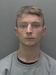 Boy, 18, stabbed and left for dead after losing gang's rottweiler dog