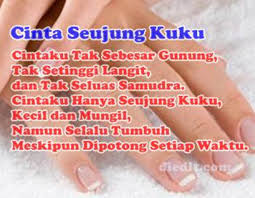 Pesan moral dari cerita dongeng putri duyung 1 : 40 Romansa Kata Kata Cinta Terindah Untuk Pacar Diedit Com