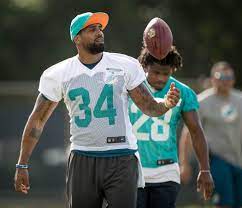 Photos Miami Dolphins Training Camp 2016 Nfl Miami Delfines