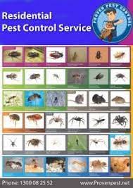 Sand mountain pest management in albertville, al provides safe and reliable pest control services to ensure your home is free from bugs and termites! From 79 Proven Pest Control Blue Mountatins And Termite Services