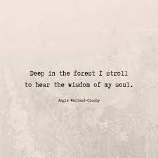 Quotes For Instagram With Heart Soul Instagram Words Soul Quotes Nature Quotes
