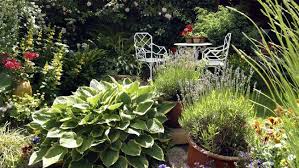 Bunga mawar, bunga hias, bunga hidup. 10 Jenis Tanaman Hias Daun Outdoor Dengan Bentuk Memesona
