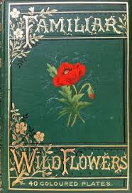 In Praise Of Flower Books Beautiful Book Covers Vintage Book Covers Book Cover Art